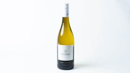 2024 Martin Reinfeld Grüner Veltliner (Burgenland/Österreich) 0
